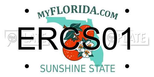 ERCS01 Florida License Plate