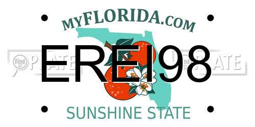 EREI98 Florida License Plate