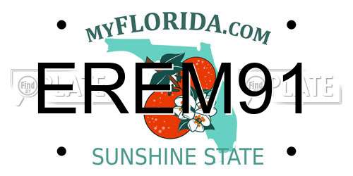 EREM91 Florida License Plate
