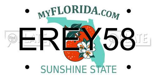 EREY58 Florida License Plate