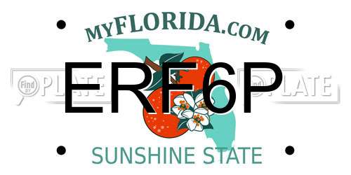 ERF6P Florida License Plate