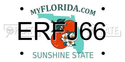 ERFJ66 Florida License Plate