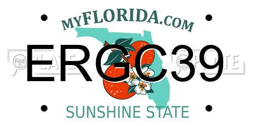 ERGC39 Florida License Plate