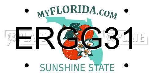 ERGG31 Florida License Plate