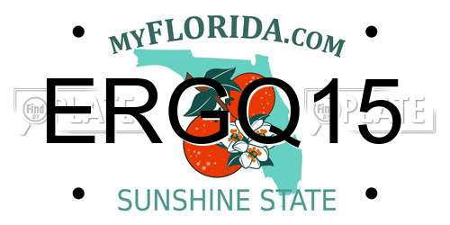 ERGQ15 Florida License Plate