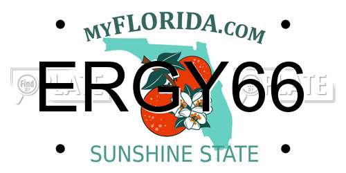 ERGY66 Florida License Plate