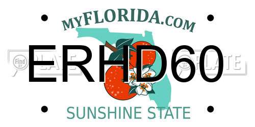 ERHD60 Florida License Plate