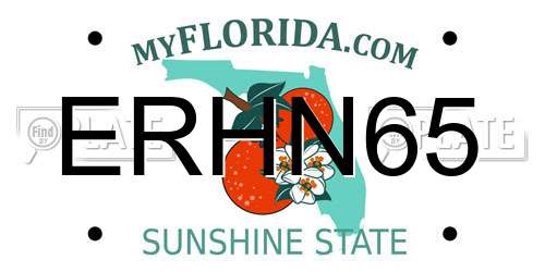 ERHN65 Florida License Plate