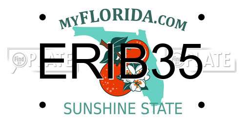 ERIB35 Florida License Plate
