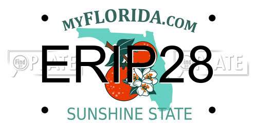 ERIP28 Florida License Plate