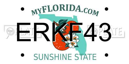 ERKF43 Florida License Plate