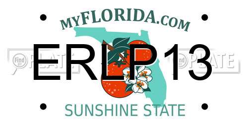 ERLP13 Florida License Plate