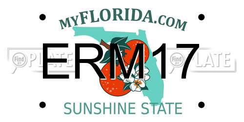 ERM17 Florida License Plate