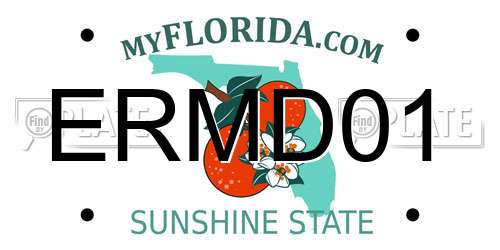 ERMD01 Florida License Plate