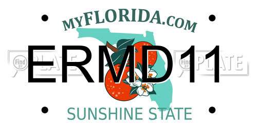 ERMD11 Florida License Plate