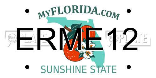 ERME12 Florida License Plate