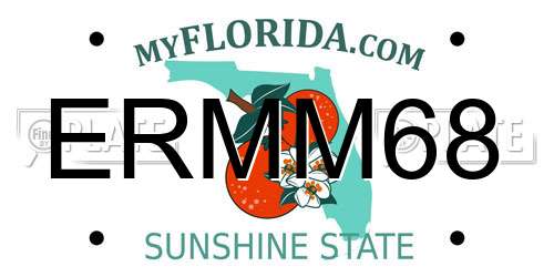 ERMM68 Florida License Plate