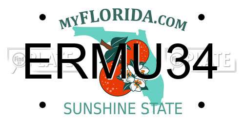 ERMU34 Florida License Plate