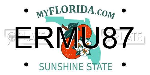 ERMU87 Florida License Plate