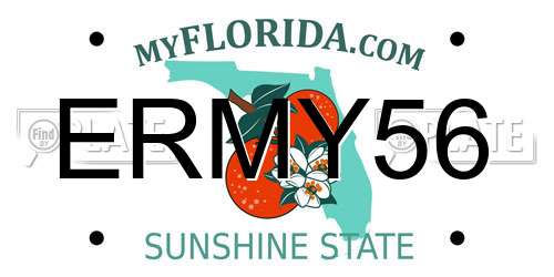 ERMY56 Florida License Plate