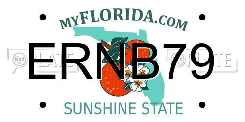 ERNB79 Florida License Plate