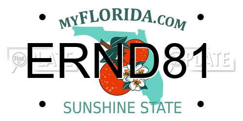 ERND81 Florida License Plate