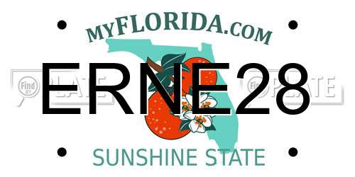 ERNE28 Florida License Plate