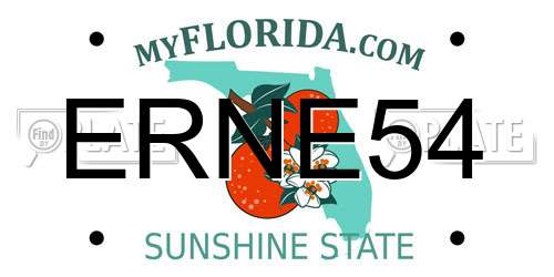 ERNE54 Florida License Plate