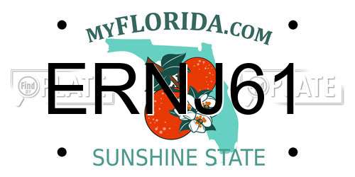 ERNJ61 Florida License Plate