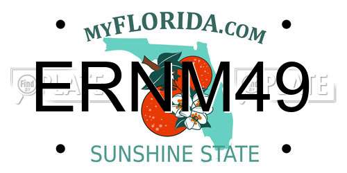 ERNM49 Florida License Plate