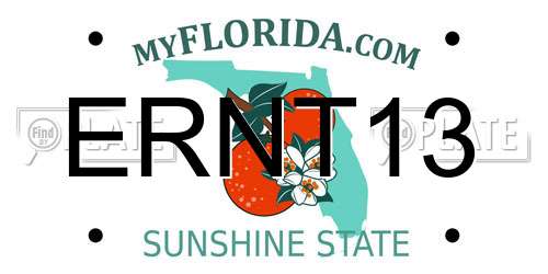 ERNT13 Florida License Plate
