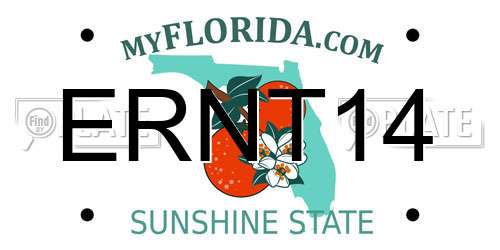 ERNT14 Florida License Plate