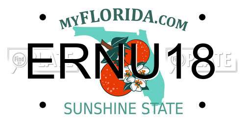 ERNU18 Florida License Plate