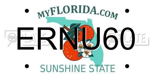 ERNU60 Florida License Plate