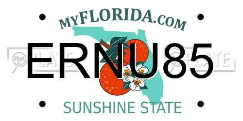 ERNU85 Florida License Plate