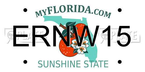 ERNW15 Florida License Plate