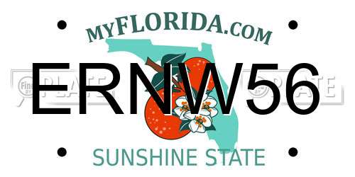 ERNW56 Florida License Plate