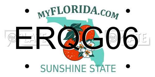 ERQG06 Florida License Plate