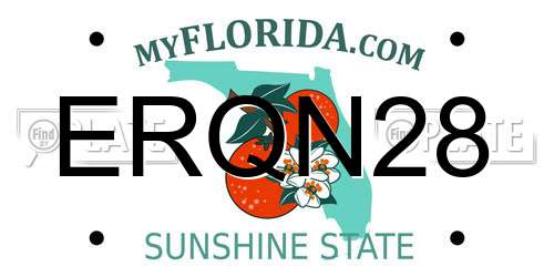 ERQN28 Florida License Plate