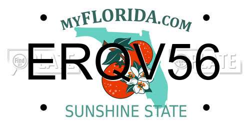 ERQV56 Florida License Plate