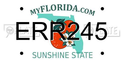 ERR245 Florida License Plate