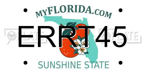 ERRT45 Florida License Plate