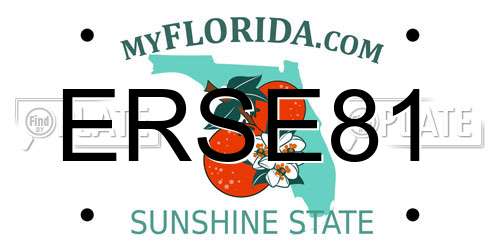 ERSE81 Florida License Plate