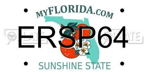 ERSP64 Florida License Plate