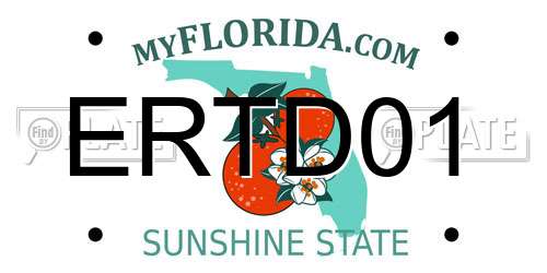 ERTD01 Florida License Plate