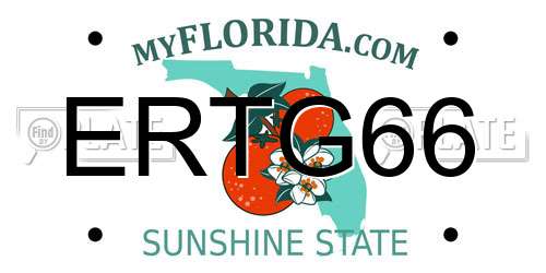 ERTG66 Florida License Plate