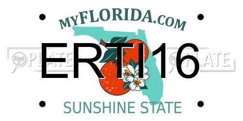 ERTI16 Florida License Plate