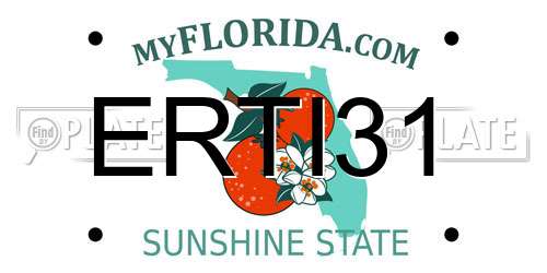ERTI31 Florida License Plate