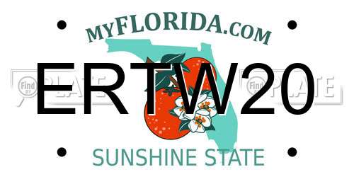 ERTW20 Florida License Plate