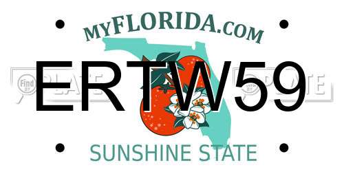 ERTW59 Florida License Plate